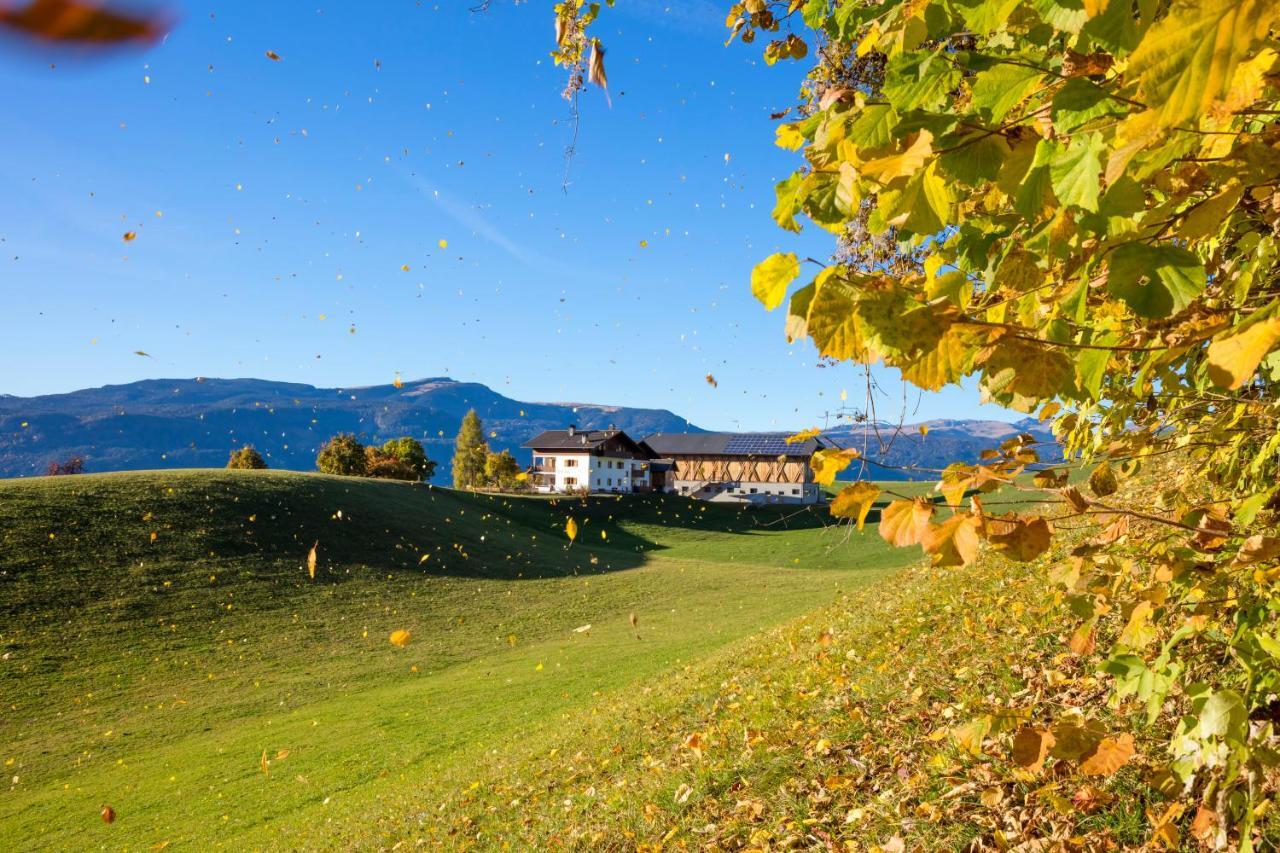 Treffhof Villa Siusi Luaran gambar